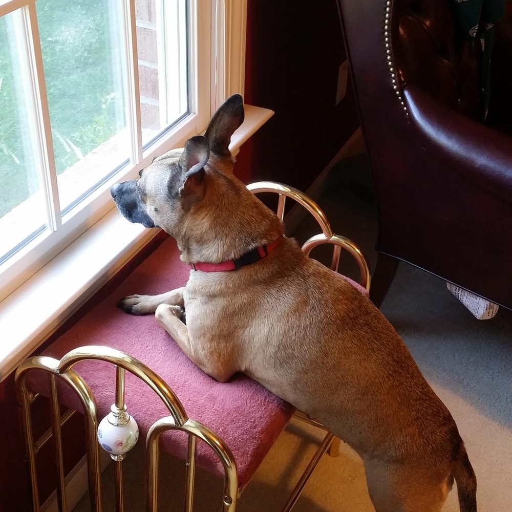 Meet your Posher, Bev